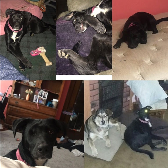 Helping my baby🐾💞 - Picture 6 of 8